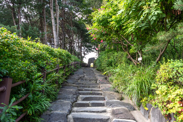 천주교 황새바위 순교성지의 돌계단-Stone Stairway at the Catholic Hwangsaebawi Martyrs’ Shrine, Gongju, Chungcheongnam-do, South Korea