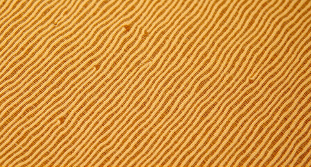 Fototapeta premium texture of wood