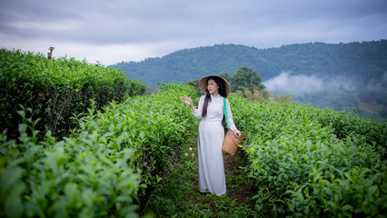 Fototapeta premium Beautiful women standing in a lush green tea field, likely in a rural area. They are wearing traditional conical hats and light-colored clothing with green tea platation background.