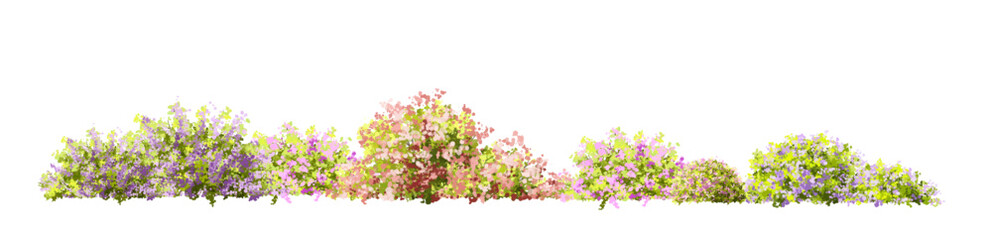  Vector watercolor blooming flower tree or forest side view isolated on white background for landscape and architecture drawing,elements for environment or and garden,green tree for garden section 