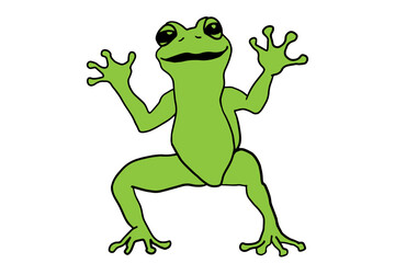 illustration of cute green frog, amphibians