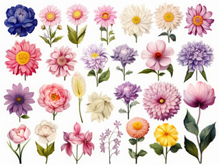 Attractive Set of different flower