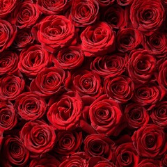 Natural red roses background. Color of the holiday. Gift to a woman. Deep red color.