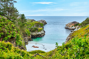 Point Lobos State Natural Reserve, Carmel, Monterey County, California, United States of America
