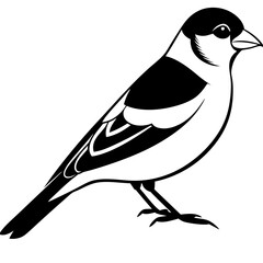 Goldfinch isolated on white, goldfinch vector illustration, bird vector art, goldfinch silhouette, animal vector icon, goldfinch line art, eps