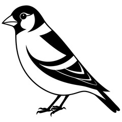 Goldfinch isolated on white, goldfinch vector illustration, bird vector art, goldfinch silhouette, animal vector icon, goldfinch line art, eps