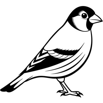 recommend clip art: Goldfinch isolated on white, goldfinch vector illustration, bird vector art, goldfinch silhouette, animal vector icon, goldfinch line art, eps