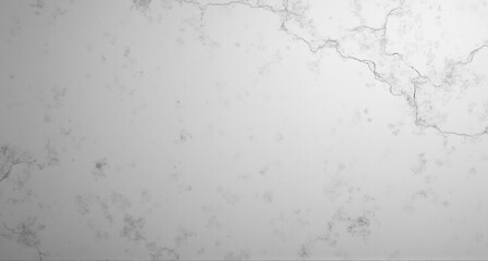 Fototapeta premium wall texture