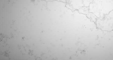 Fototapeta premium wall texture