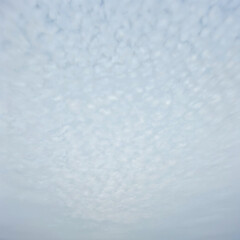 Fototapeta premium Soft Cloudy Sky in Early Morning Light