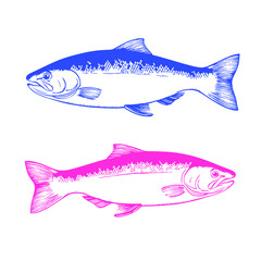 A fish isolated on a white background with a vector illustration of seafood and aquatic life