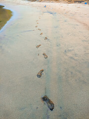 Footprints in the sand during the day