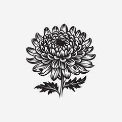 vector Unique and beautiful lotus leaf design for design material