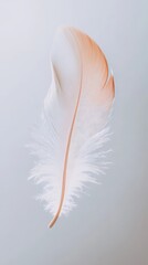 A delicate, white feather with a subtle touch of brown, floating gracefully against a soft, light background.