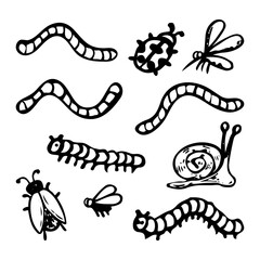 Set of different insects hand drawn in doodle style. Animals wild nature. Beetle, worm, fly, goose, mosquito, snail, ladybug. Vector line art illustration.