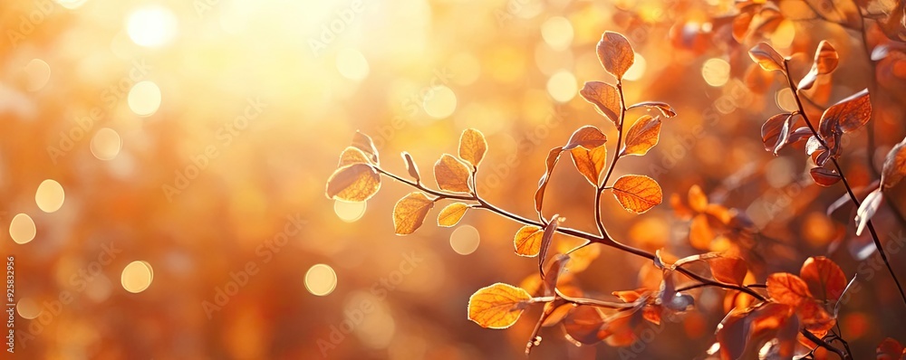 Poster soft sunlight filters through autumn leaves, creating a warm and inviting atmosphere perfect for sea