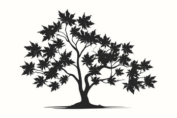 Maple tree silhouette vector illustration