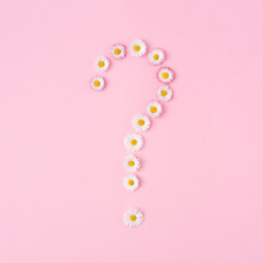 Question mark made of white flowers on a pink background. Minimum art.
