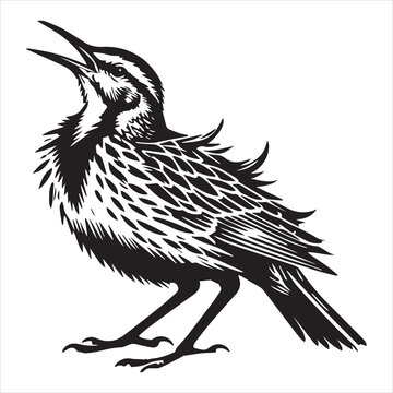 recommend clip art: Western meadowlark silhouette, Meadowlark Bird Clipart, Western meadowlark alert pose Illustration