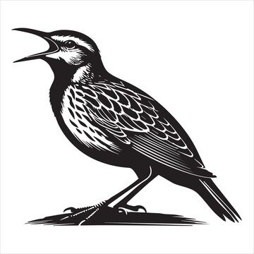 recommend clip art: Western meadowlark silhouette, Meadowlark Bird Clipart,  Western meadowlark calling out Illustration