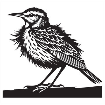 recommend clip art: Western meadowlark silhouette, Meadowlark Bird Clipart, Western meadowlark in a relaxed Illustration