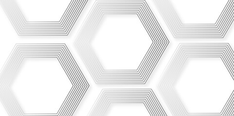 Abstract minimal geometric white and black light background design. Vector illustration of hexagons pattern. luxury white pattern geometric mesh cell texture. Modern pattern elegant gold line template