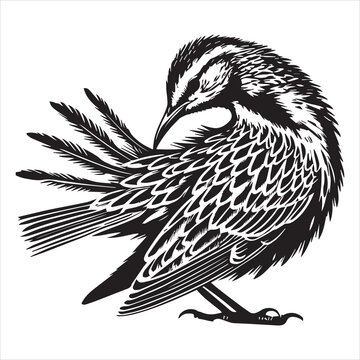 recommend clip art: Western meadowlark silhouette, Meadowlark Bird Clipart,  Western Meadowlark preening feathers Illustration in black and white