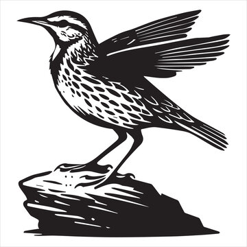 recommend clip art: Western meadowlark silhouette, Meadowlark Bird Clipart,  Western meadowlark wings folded Illustration