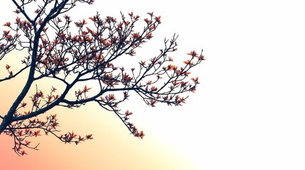 A delicate tree branch adorned with blooming flowers against a soft pastel background, evoking tranquility and natural beauty.