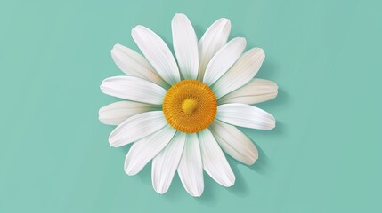 Close-up of a single white daisy flower with a yellow center on a teal background, highlighting the beauty of nature and simplicity.