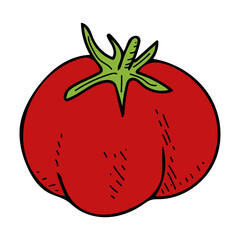 Flat tomato. Harvest ripe fruits. Vegetables garden. Hand drawn vector doodle illustration.