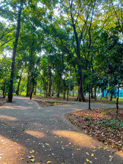 Alley in the park