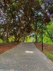 Greenery at GBK Stadium Park