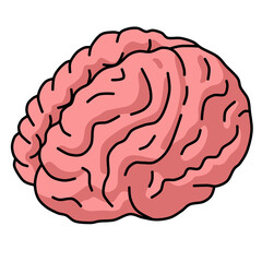 Brain 