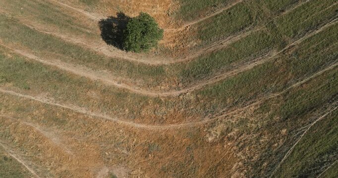 Above View Of Nature Landscape Near Enisala Castle, Cetatea Enisala, Romania. Aerial Shot