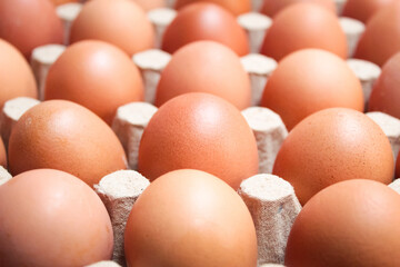 close-up of several raw chicken eggs in a cardboard