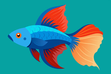  Betta fish vector art and illustration