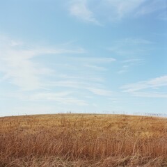 An open, dry, and slightly hilly field under a soft, blue sky, evoking a sense of vastness and untouched, raw beauty of the countryside.