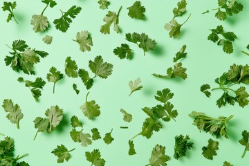 Fresh cilantro leaves scattered on a pastel green background, perfect for culinary, health, and nature-themed projects.