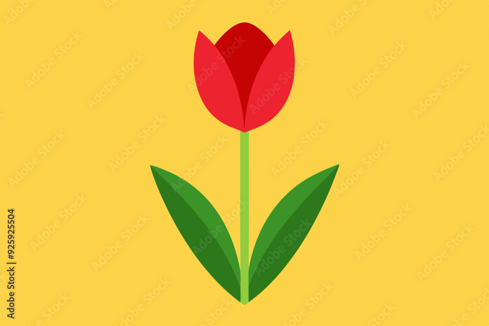 Wall mural  Tulip flower vector art and illustration