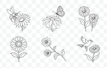 Print Gaillardia Flower Line Art Vector Set High Quality and Detailed Illustration Collection