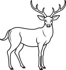 Younger Dear outline illustration, standing gracefully with antlers visible, drawn with elegant and slender lines on a white background.