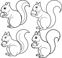 Cute squirrel outline or line art or sketch illustration package, holding a nut with its bushy tail curled, drawn with smooth lines on a white background.