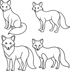 The Jungle Fox outline or sketch or line art illustration with its bushy tail wrapped around, drawn with sleek and sharp lines on a white background.