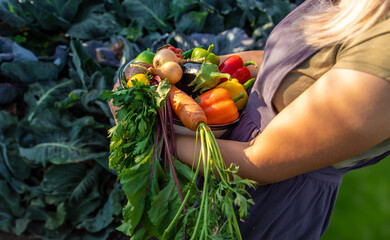 female farmer holding a large plate with various fresh farm vegetables. Autumn harvest