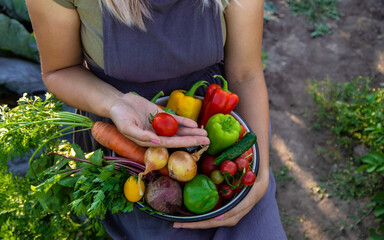 female farmer holding a large plate with various fresh farm vegetables. Autumn harvest