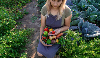 female farmer holding a large plate with various fresh farm vegetables. Autumn harvest