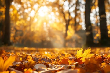 Golden autumn leaves in sunny forest, capturing fall nature beauty on beautiful sunny day