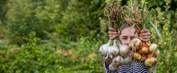 woman farmer holds onions in her hands. harvest.