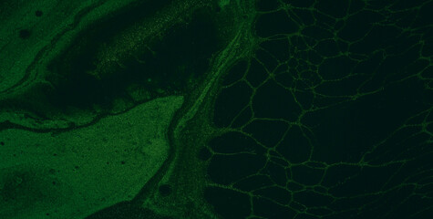 Geometric Fantasia: Let the Vivid Colors and Intricate Abstract Patterns Ignite Your Imagination